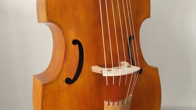 Basse de viole 7 cordes / Student 7 strings bass viol