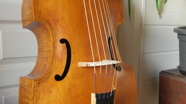 Superbe basse de viole 7 cordes / 7 strings bass viola da gamba