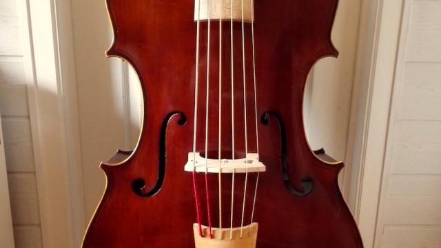 Violone en Ré / D violone